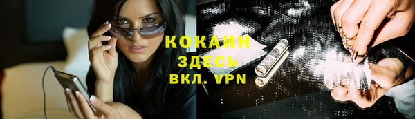 спайс Няндома