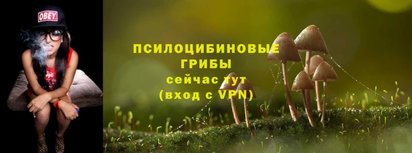 ALPHA-PVP Нязепетровск