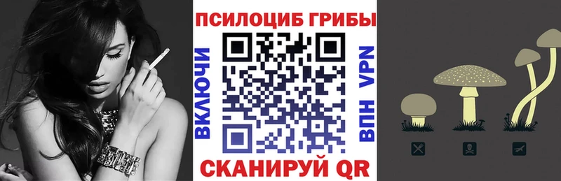 купить   Сунжа  Галлюциногенные грибы MAGIC MUSHROOMS 